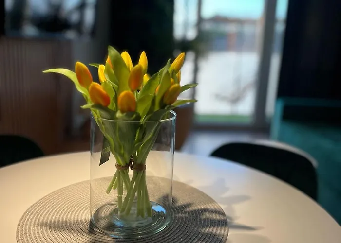 Apartman Intelliparts Q *